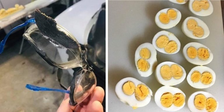 18 человек, у которых случился тот самый денек, когда удача улыбнулась в 32 зуба