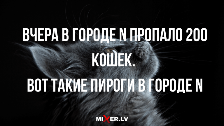 Новые анекдоты с шуточками и кошки в городе N
