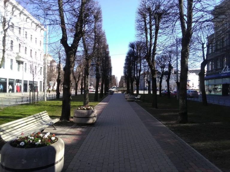 ФОТО: в рижских парках посадили 2754 фиалок и маргариток