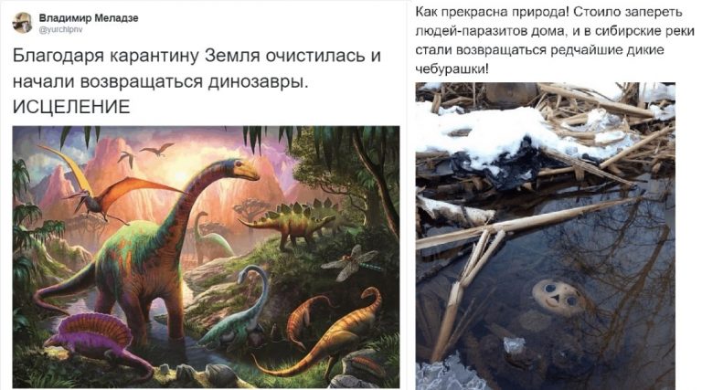 В сети иронично шутят о положительных сторонах вируса