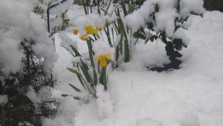 А где весна? В Латвии идет снег, дороги скользкие (ФОТО)