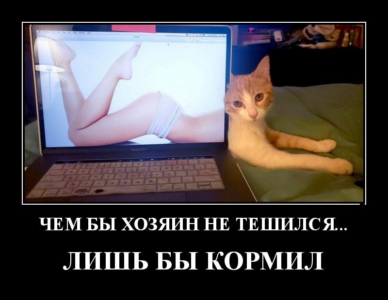 Демотиваторы за сегодня и чем бы хозяин не тешился
