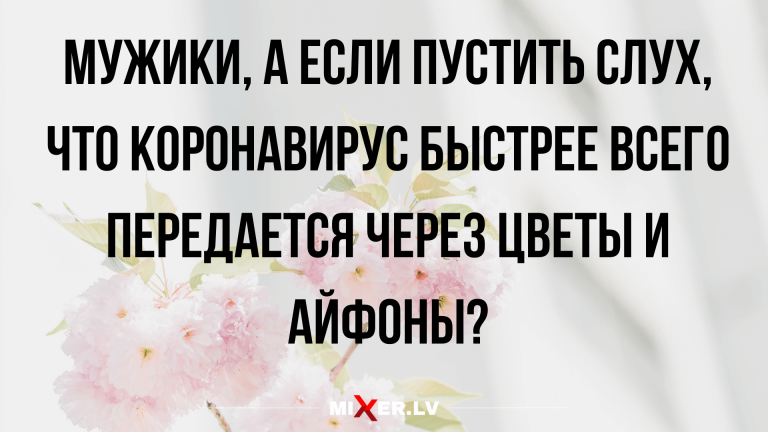 свежие смешные анекдоты и юмор для настроения
