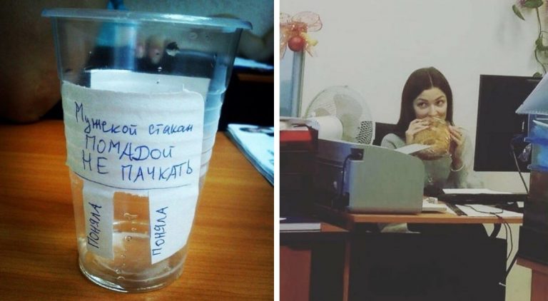 Будни планктона: пост для тех, кто пять дне в неделю проводит в офисе
