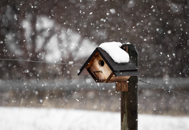 Не расслабляемся: на этой неделе ожидаются дождь, ветер и мороз