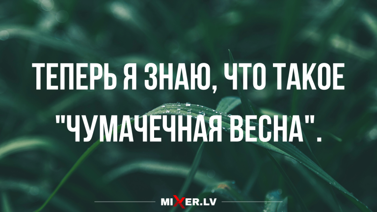 Анекдоты новенькие в пятницу и когда до тебя дошел смысл песни