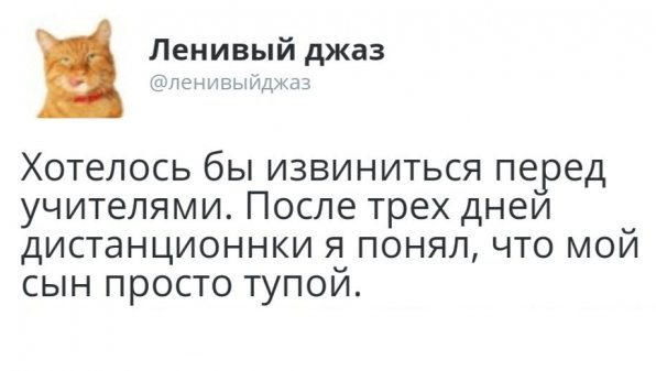 Подборка авторских шуток из социальных сетей