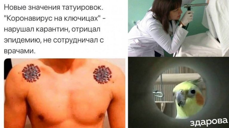 Мемы и фото приколы с легким юмором в воскресение