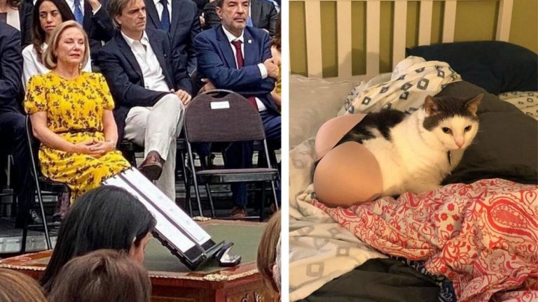 30 запутанных фотографий, потому что ваши глаза легко одурачить