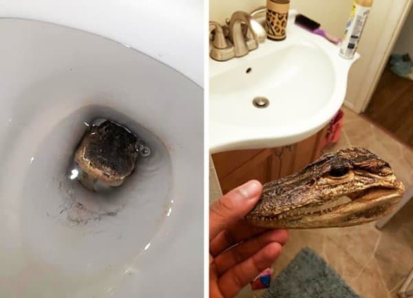 Люди, которые жить не могут без розыгрышей
