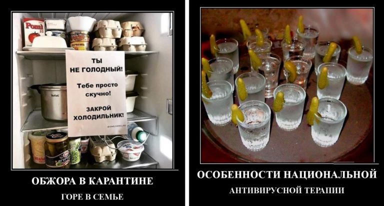 Демотиваторы свежие и обжора на карантине