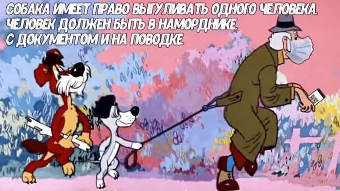 Алкоголь, ожирение и удаленка: лучшие мемы в сети