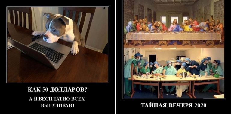 Демотиваторы смешные и собака выгуливает всех бесплатно
