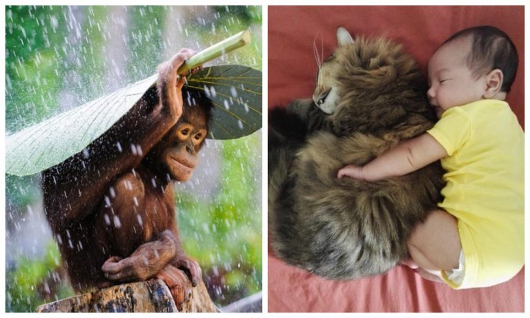 21 фото, способное растопить самое черствое сердце