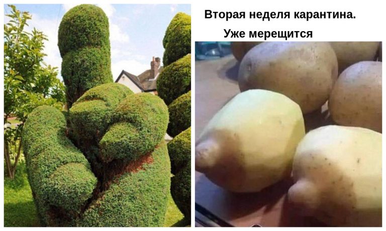 Грязного юмора пост в краску вгоняющий