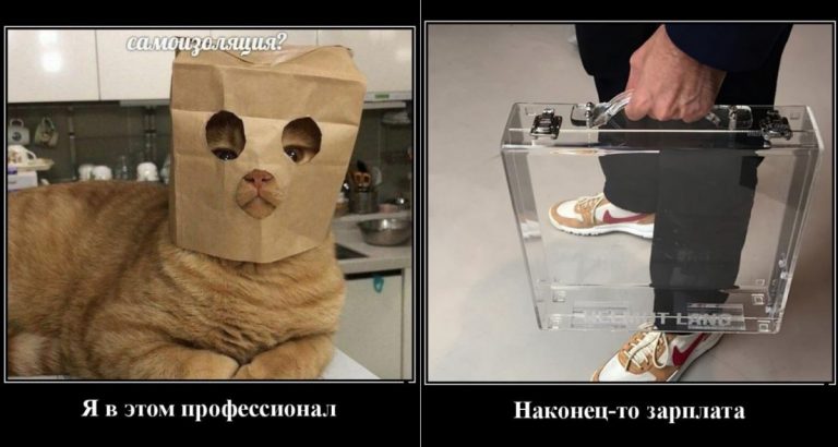 Бодрящие демотиваторы и наконец то зарплата