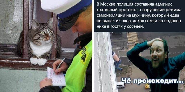 Штрафуй меня полностью: юмор из соцсетей про нарушение самоизоляции