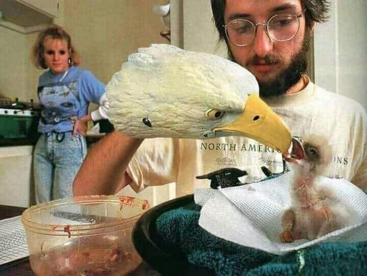 Дронохмакерская и другие коронавирусные чудеса в нашей вторничной фотоподборке
