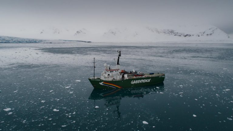 Greenpeace просит не использовать одноразовую упаковку в период пандемии