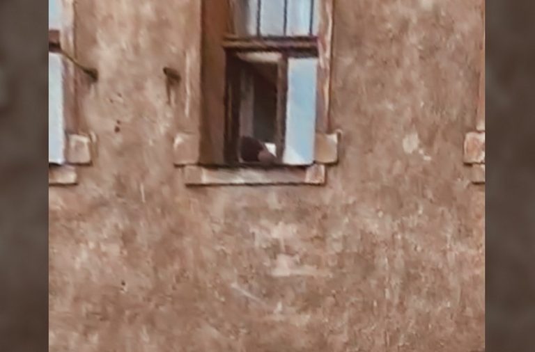 «Лежал и не двигался»: мужчина на подоконнике в центре Риги напугал прохожих