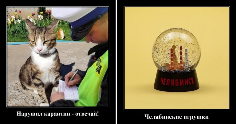 Демотиваторы новые и челябинские игрушки