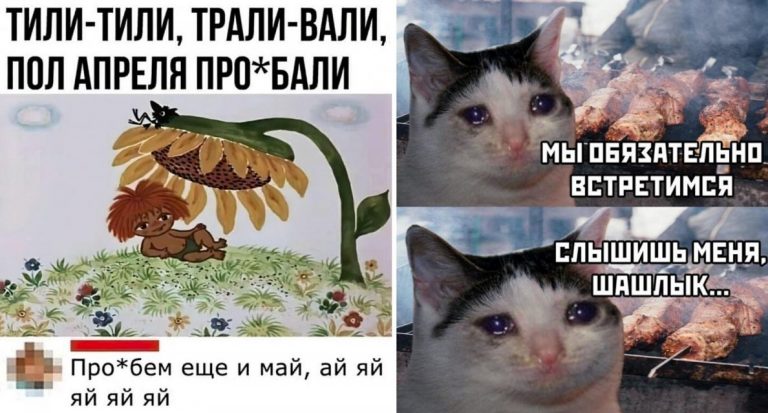 Свежий юмор из соц сетей и тили — тили , трали — вали