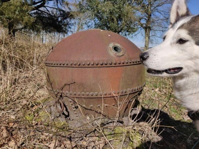 Мешки с яйцами пауков и другие занятные штуковины, о которых вы скорее всего не знали