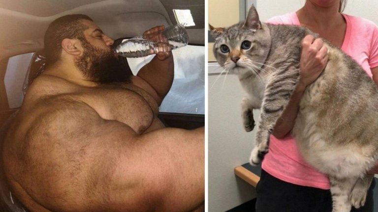 Вещи бывают большие, очень большие, а бывают прямо огромные. 22 примера