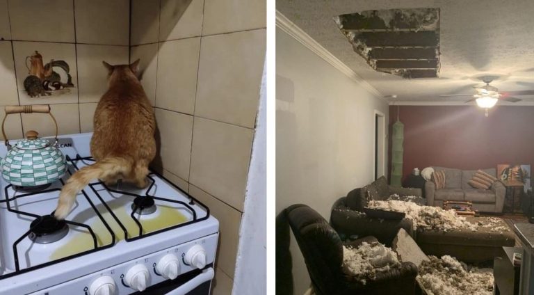 15 людей к которым пришел один их худших дней в году