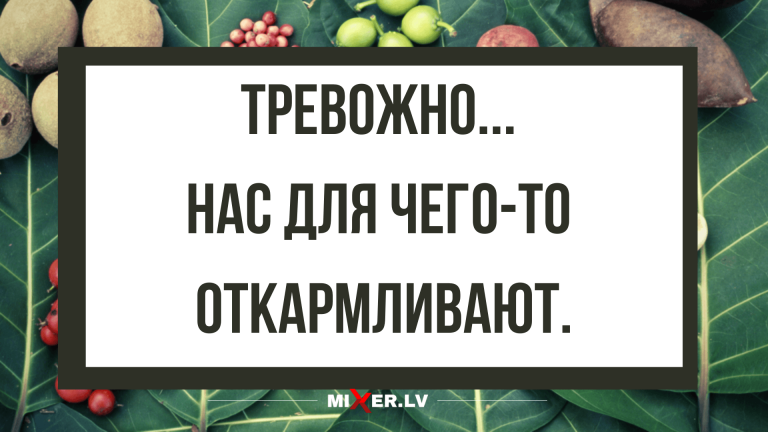 лучшие новые анекдоты дня