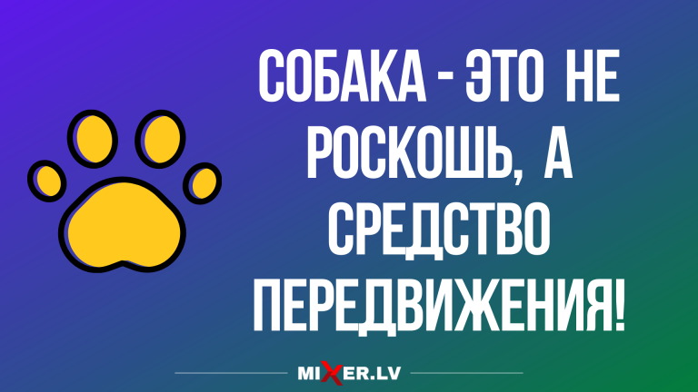 новый свежий юмор и анекдоты в картинках