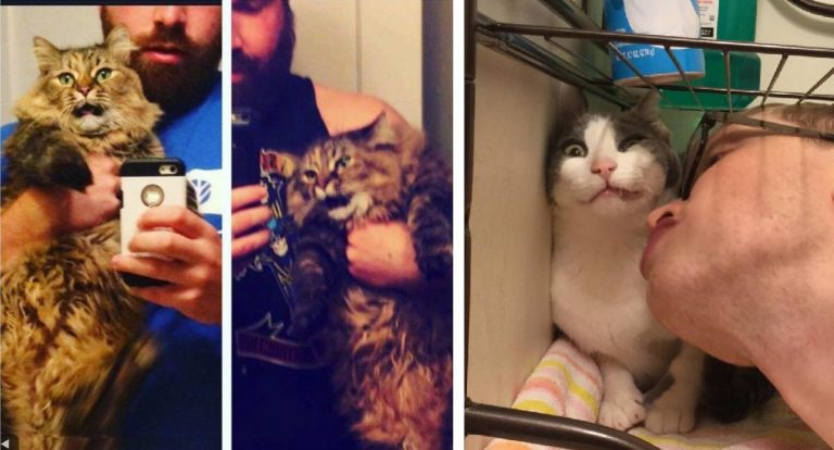 18 кошек, с которых хватит глупых человеческих штучек