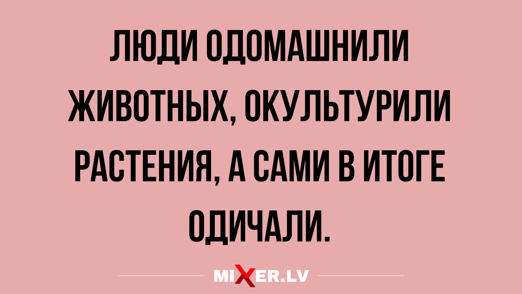 новые короткие анекдоты 2020 года