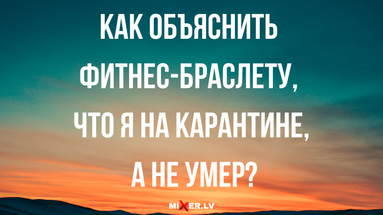 анекдоты смешные до слез и отборный юмор