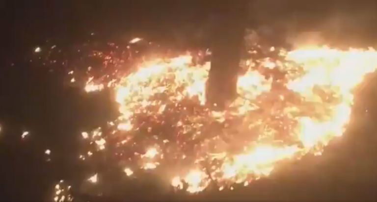 ВИДЕО: вчера в Риге пожарные тушили горящую сухую траву