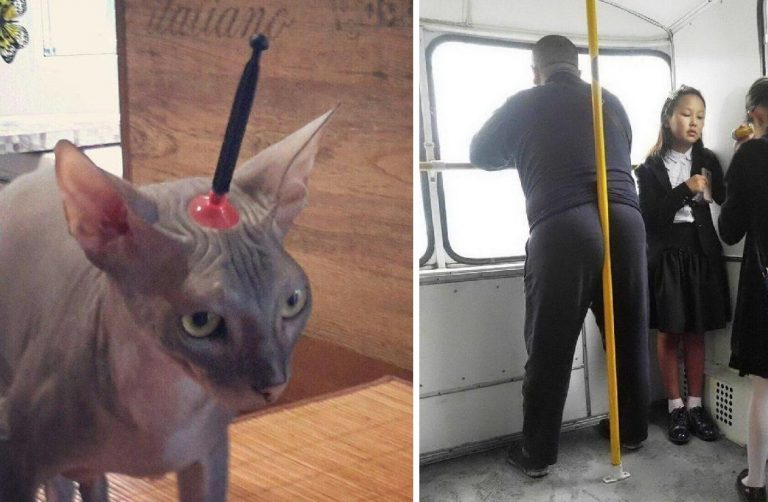 25 прикольных фотографий для пятничного настроения, которое вы заслужили