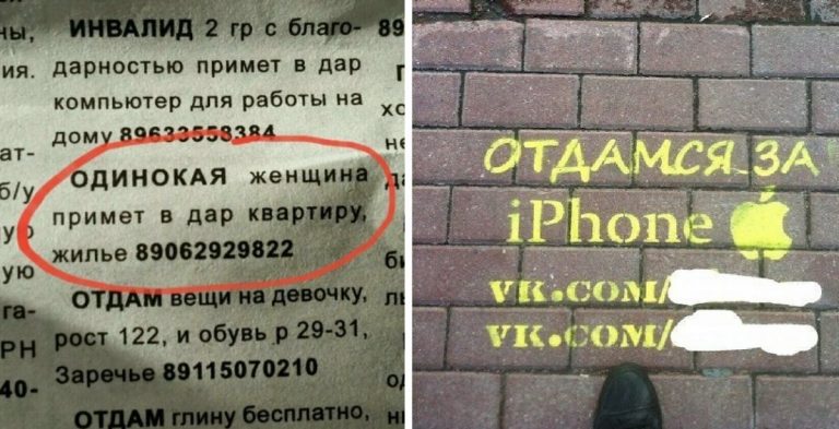 15 халявщиц с запросами меркантильность которых зашкаливает