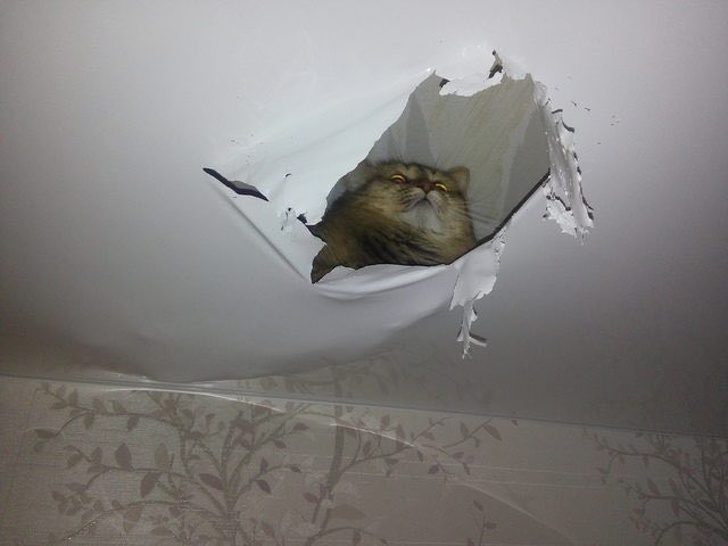 20 необычных вещей, которые были увидены и сфотографированы