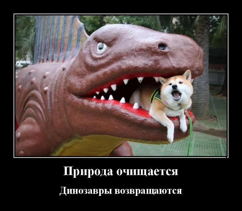 Демотиваторы во вторник очищение природы