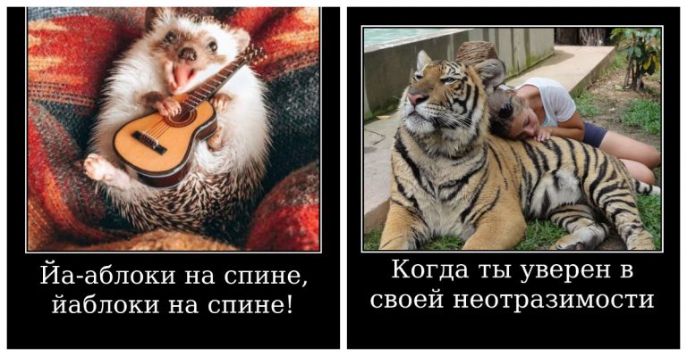 Свежие невиданные демотиваторы, налетай!