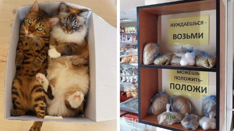 20 добрых снимков, которые раскрасят выходные