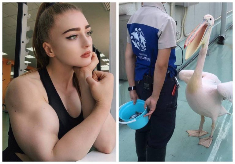 20 смешных и удивительных фотографий для пятничного настроения