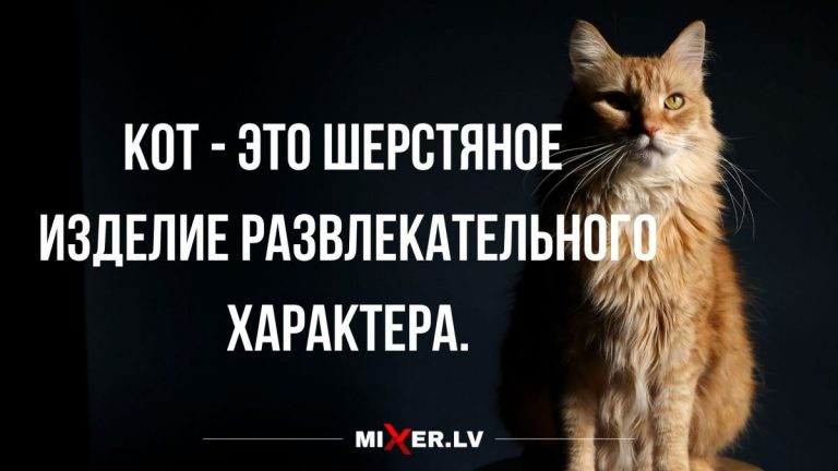 Смешные анекдоты в начале недели и домашние животные