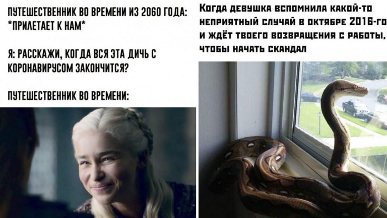 Мемы и смешные картинки за сегодня