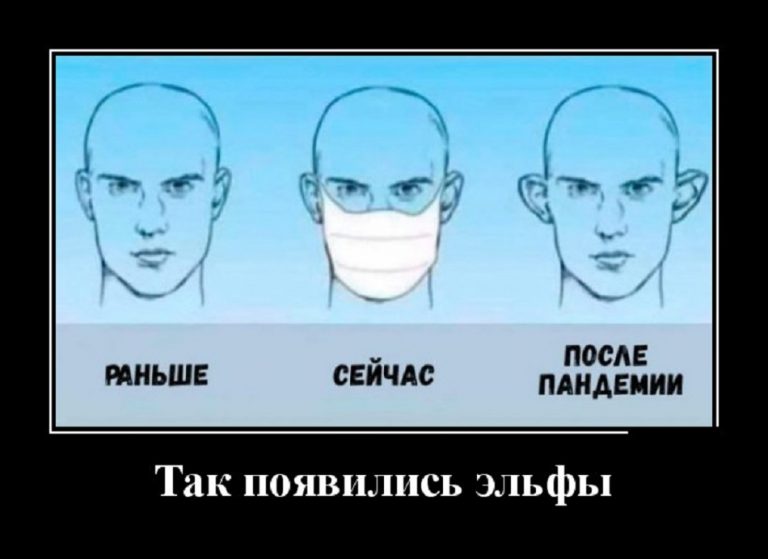 Демотиваторы новенькие и как появились эльфы