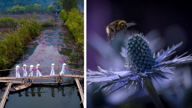 Весна на снимках фотоконкурса Spring 2020