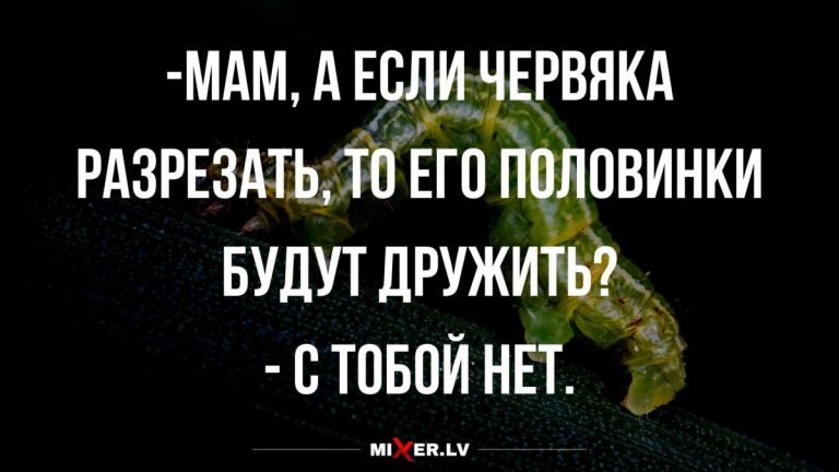 Анекдоты в пятницу и что будет если разрубить червяка