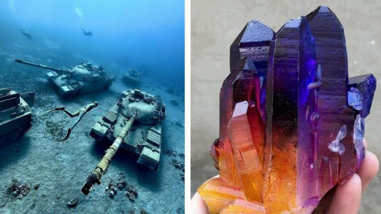25 увлекательных и крутых фотографий, которые расскажут и покажут вам нечто новое