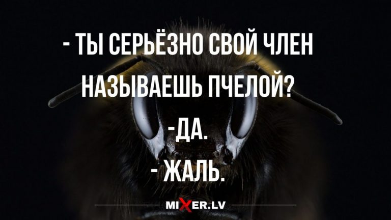 Смешные анекдоты с шуточками и пчелки