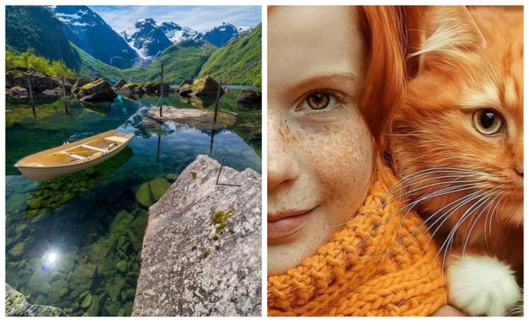 Добрые и вдохновляющие фотографии. «Говорящие больше тысячи слов» — это про них!